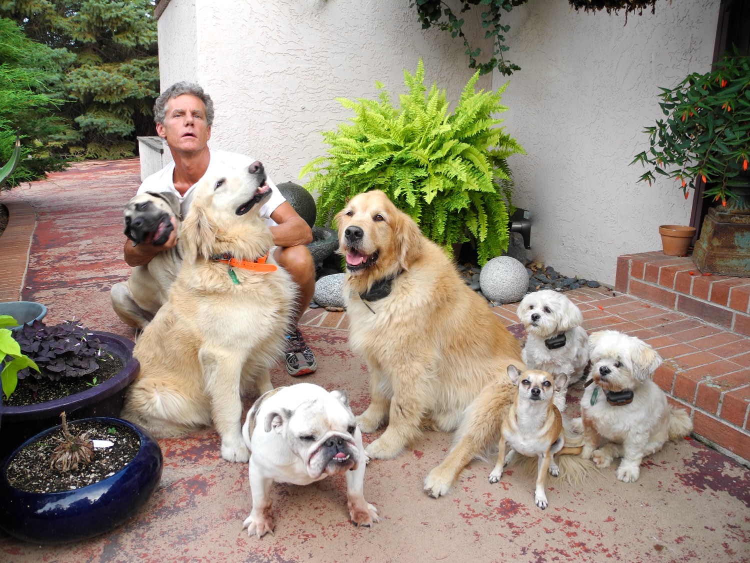 The Boulder Puppy pack — happy dogs and their caretaker on the patio